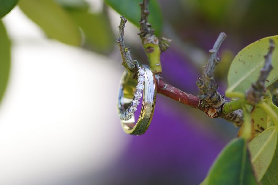 photo : Alliance Photo